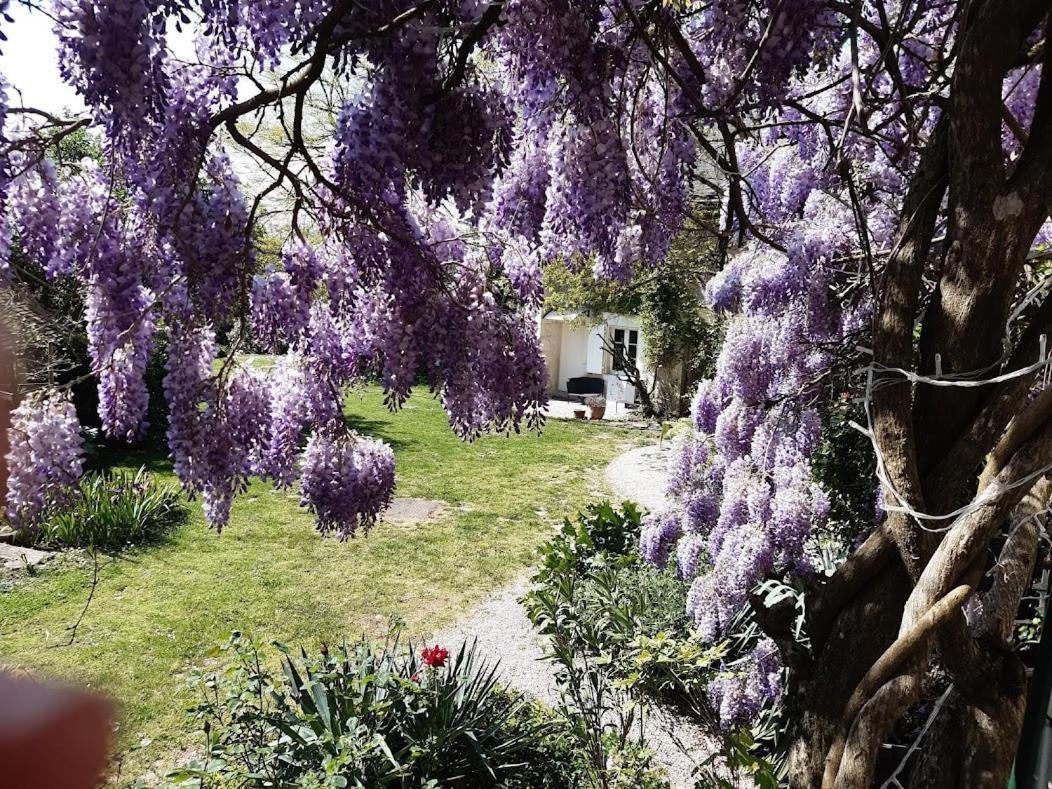 Domaine Les Feuillants Crouzilles Exterior foto